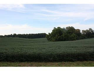 Property photo 2 - REAL ESATE AUCTION-128.4+/- ACRES OFFERED IN 6 TRACTS IN SPENCER COUNTY